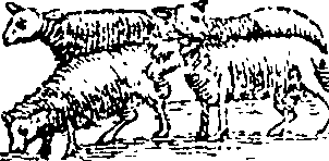 101/101570110000140_1.png
