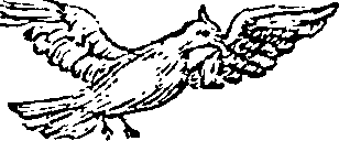 101/101570110000160_0.png