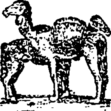 101/101570110000200_0.png