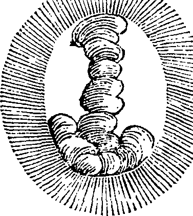 101/101570110000260_1.png
