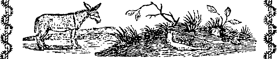 101/101570110000380_1.png