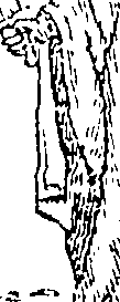 101/101570110000510_0.png