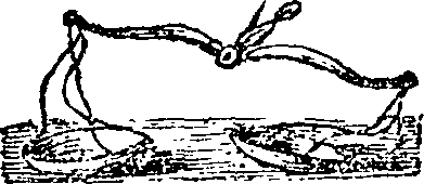 101/101570110000620_0.png