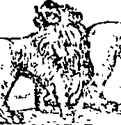 101/101570110000640_0.png