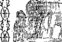 101/101570110000680_0.png