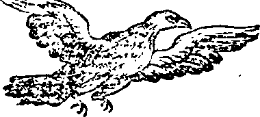 101/101570110000720_0.png