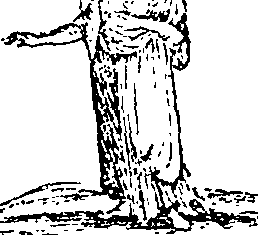 101/101570110000780_1.png