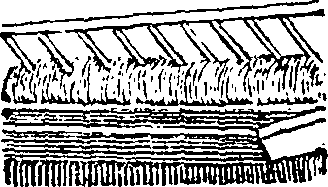 101/101570110000910_0.png