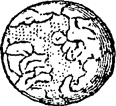 101/101570110000960_0.png