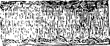 101/101570110001050_0.png