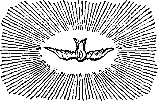 101/101570110001060_0.png
