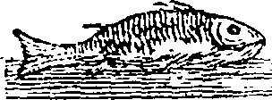 101/101570110001100_0.png