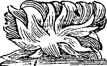 101/101570110001160_0.png