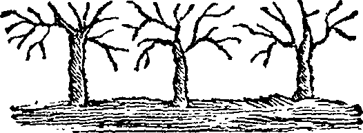 101/101570110001280_0.png