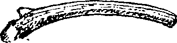 101/101590010000080_2.png
