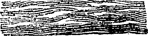 101/101590010000120_0.png