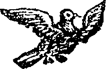 101/101590010000120_2.png