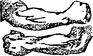 101/101590010000170_1.png