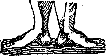 101/101590010000250_1.png