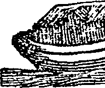 101/101590010000250_2.png