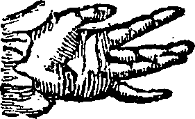 101/101590010000260_0.png
