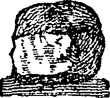 101/101590010000350_1.png