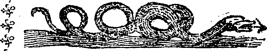 101/101590010000410_0.png