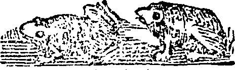 101/101590010000460_2.png