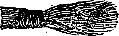 101/101590010000510_0.png