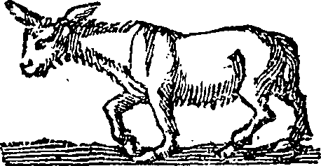 101/101590010000510_1.png