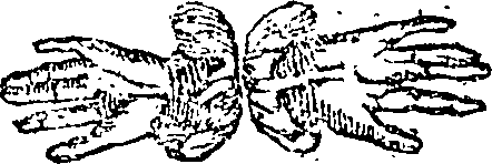 101/101590010000520_0.png