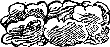 101/101590010000530_1.png