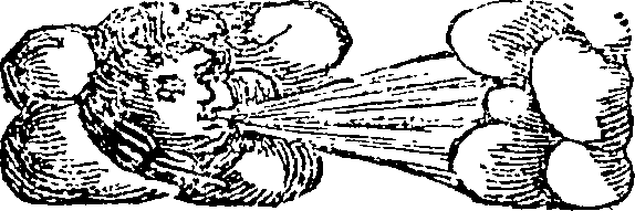 101/101590010000530_3.png