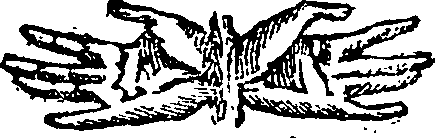 101/101590010000550_0.png