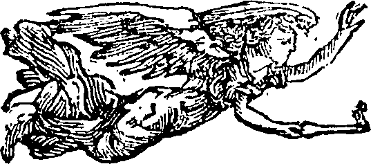 101/101590010000560_2.png