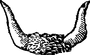 101/101590010000590_0.png