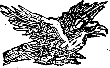 101/101590010000610_0.png