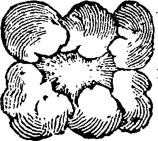 101/101590010000640_0.png