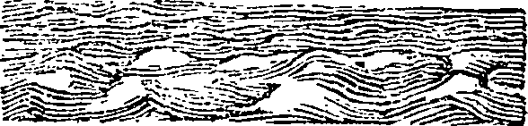 101/101590010000670_1.png