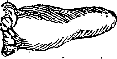 101/101590010000700_1.png