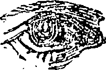 101/101590010000700_2.png