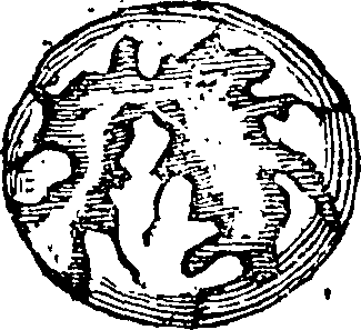 101/101590010000720_0.png