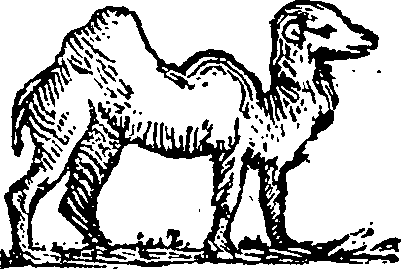 101/101590010000730_0.png