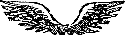 101/101590010000740_1.png