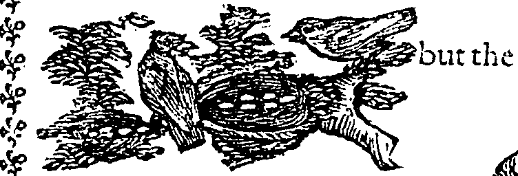 101/101590010000770_0.png