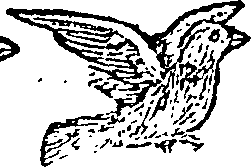 101/101590010000770_1.png