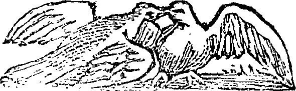 101/101590010000780_0.png
