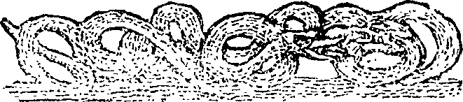 101/101590010000780_1.png