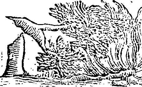 101/101590010000810_0.png