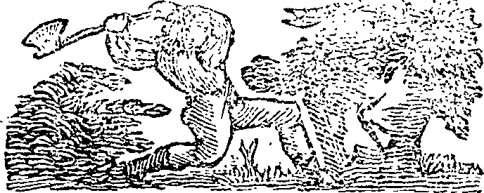 101/101590010000810_1.png